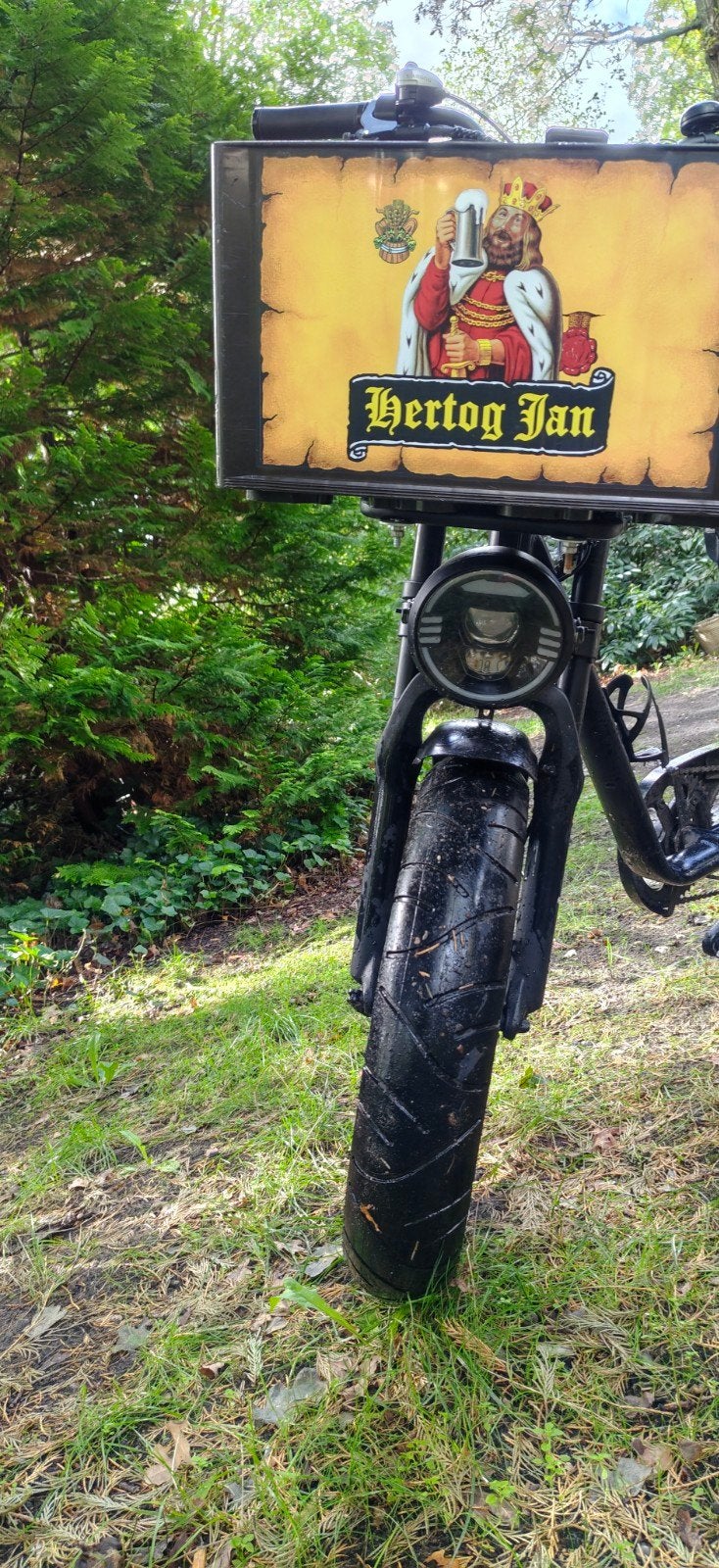 Fatbike met koppelingssensor en gaspedaal, Fietsen en Brommers, Ophalen, Gebruikt, 50 km per accu of meer