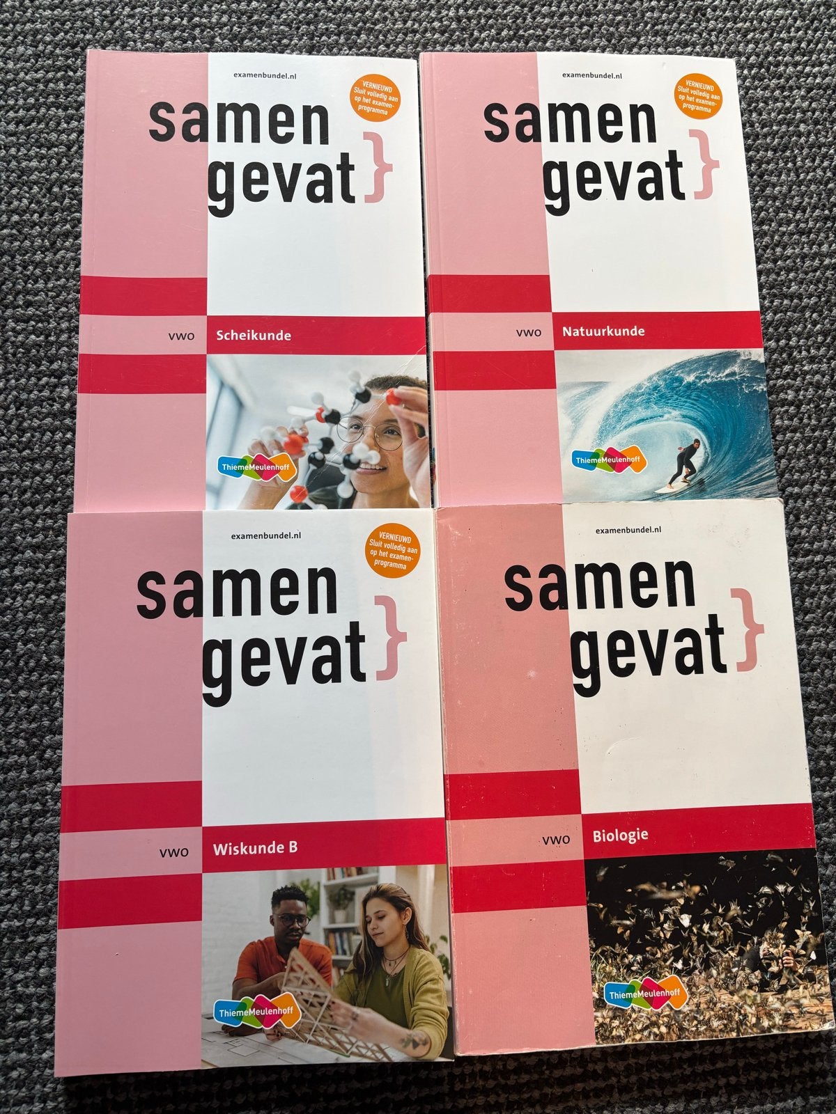 Samengevat VWO - Scheikunde, Natuurkunde, Wiskunde en Biolog, Boeken, Schoolboeken, Ophalen of Verzenden, Zo goed als nieuw, VWO