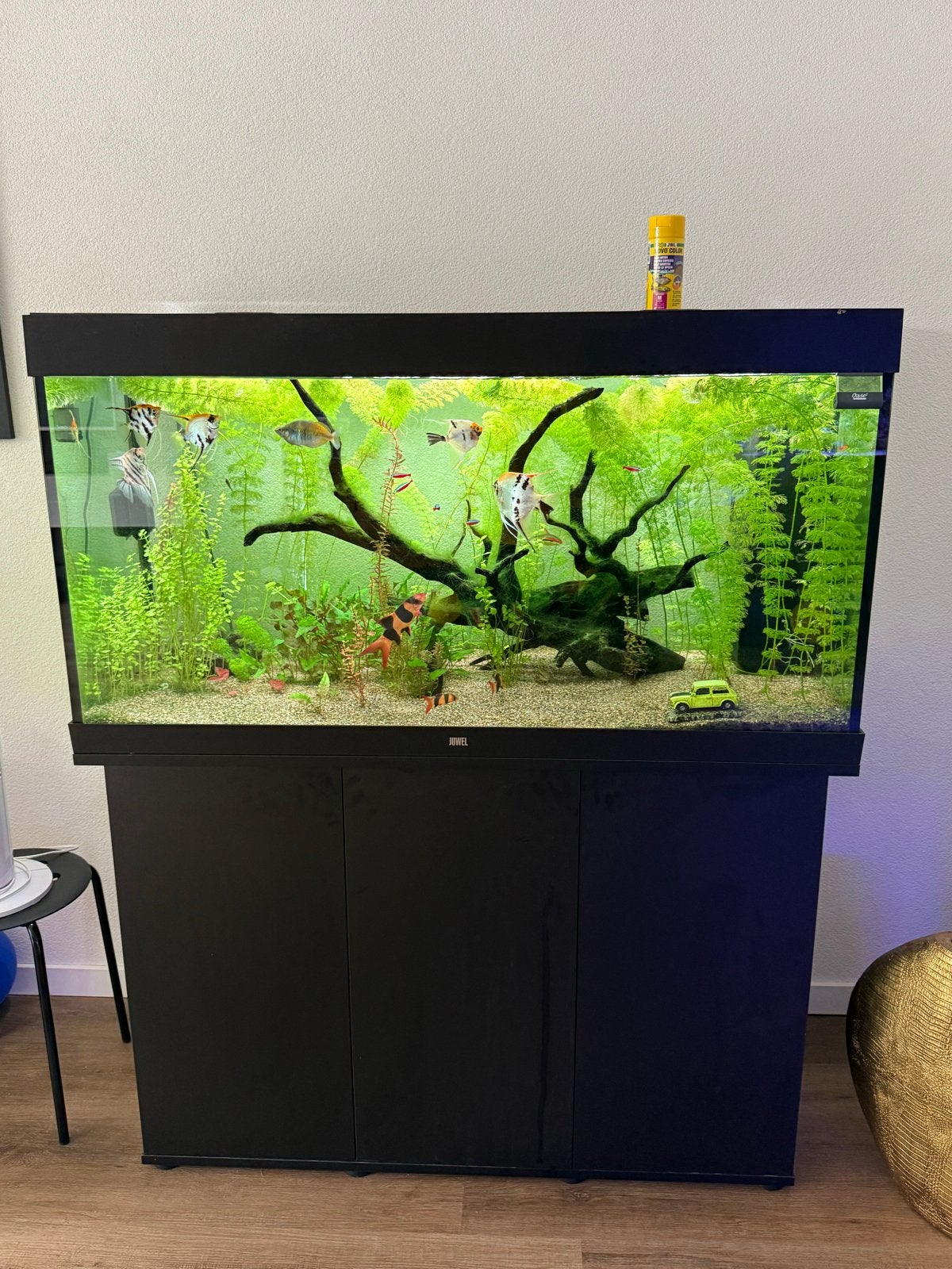 Compleet Juwel Rio 350 Aquarium | instapklaar 2jaar oud, Dieren en Toebehoren, Vissen | Aquaria en Toebehoren, Ophalen, Juwel