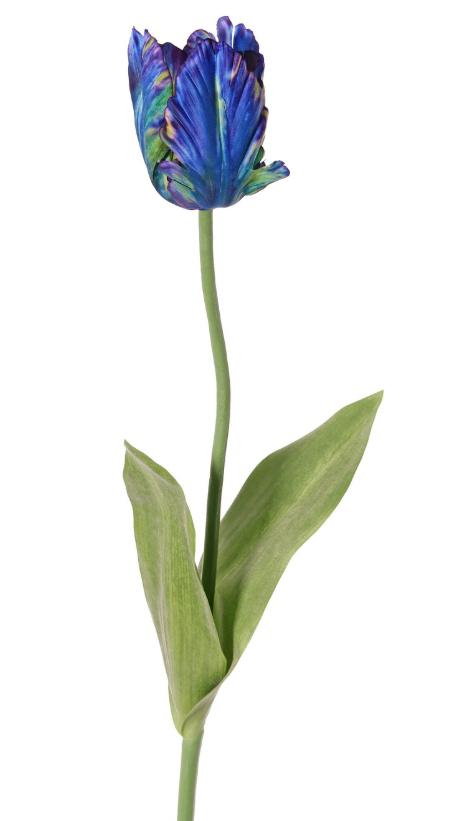 Zijden Tulp 64cm, Kunstbloem, Ophalen of Verzenden, Overige merken, Blauw