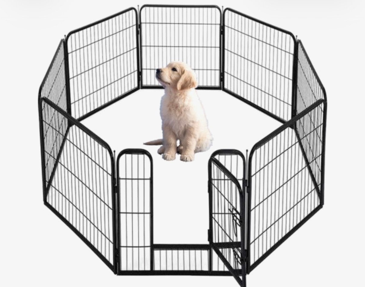Livista puppyren, Ophalen, 110 cm of meer, Minder dan 65 cm, Hondenhok