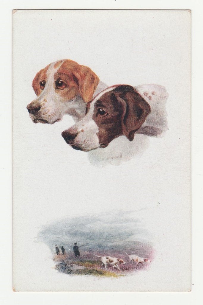 Hobden.  Jacht.   Pointers., Verzenden, Voor 1920, Ongelopen, Overige thema's