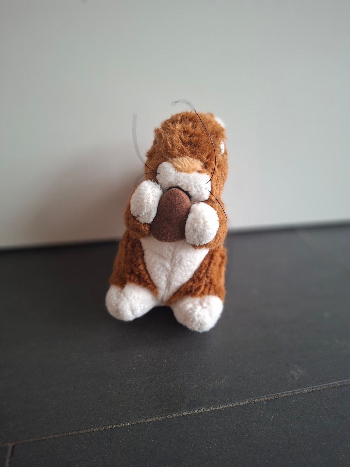 Schattige gebruikte eekhoorn knuffel, Gebruikt, Overige typen, Ophalen of Verzenden, Klein (minder dan 20 cm)