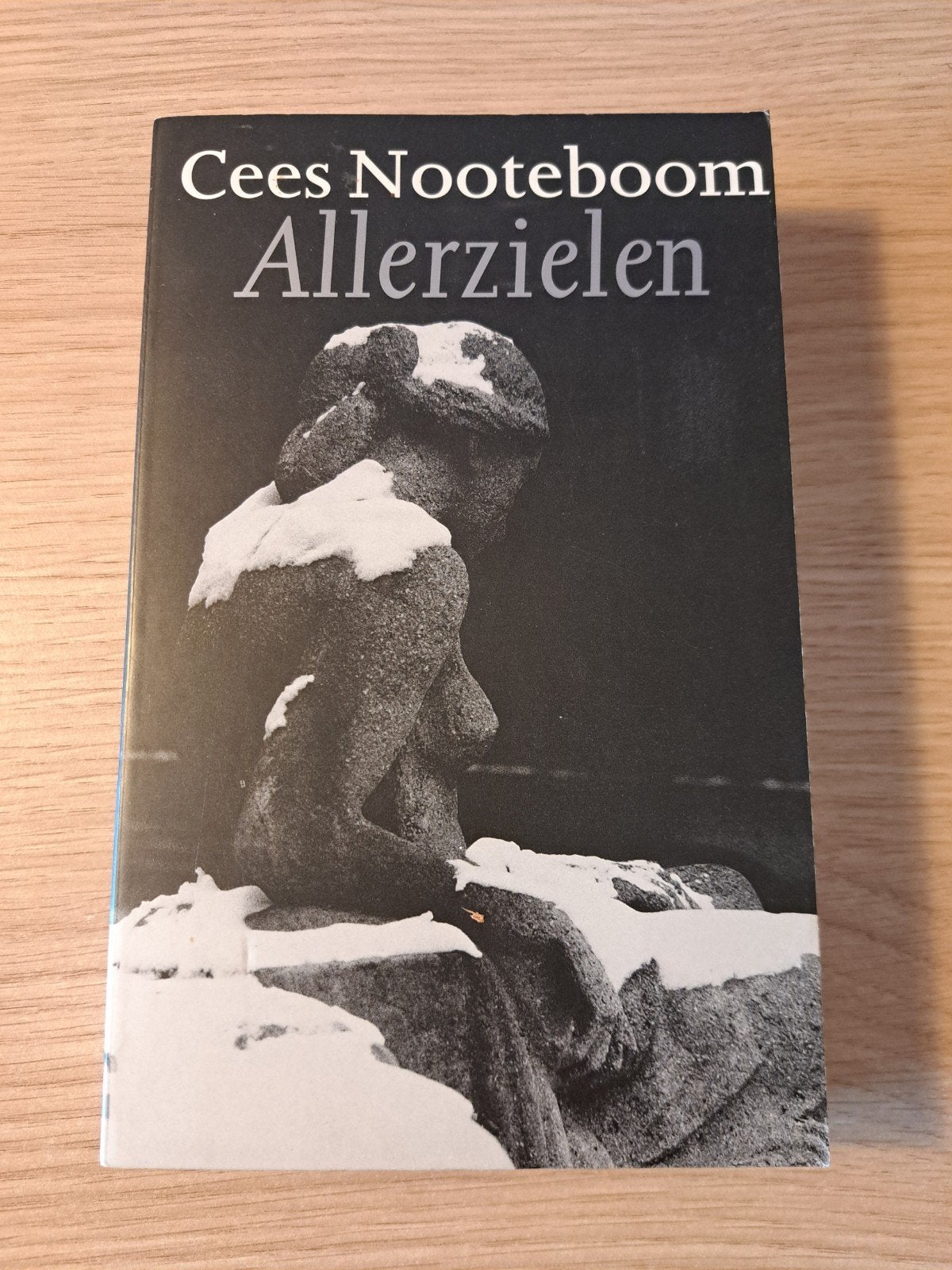 Cees Nooteboom - Allerzielen (Paperback), Boeken, Ophalen of Verzenden, Gelezen, Cees Nooteboom, Nederland