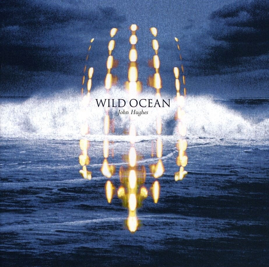 John Hughes - Wild Ocean (CD) Corrs, Chieftains, Tara Blaise, Ophalen, Gebruikt, Pop