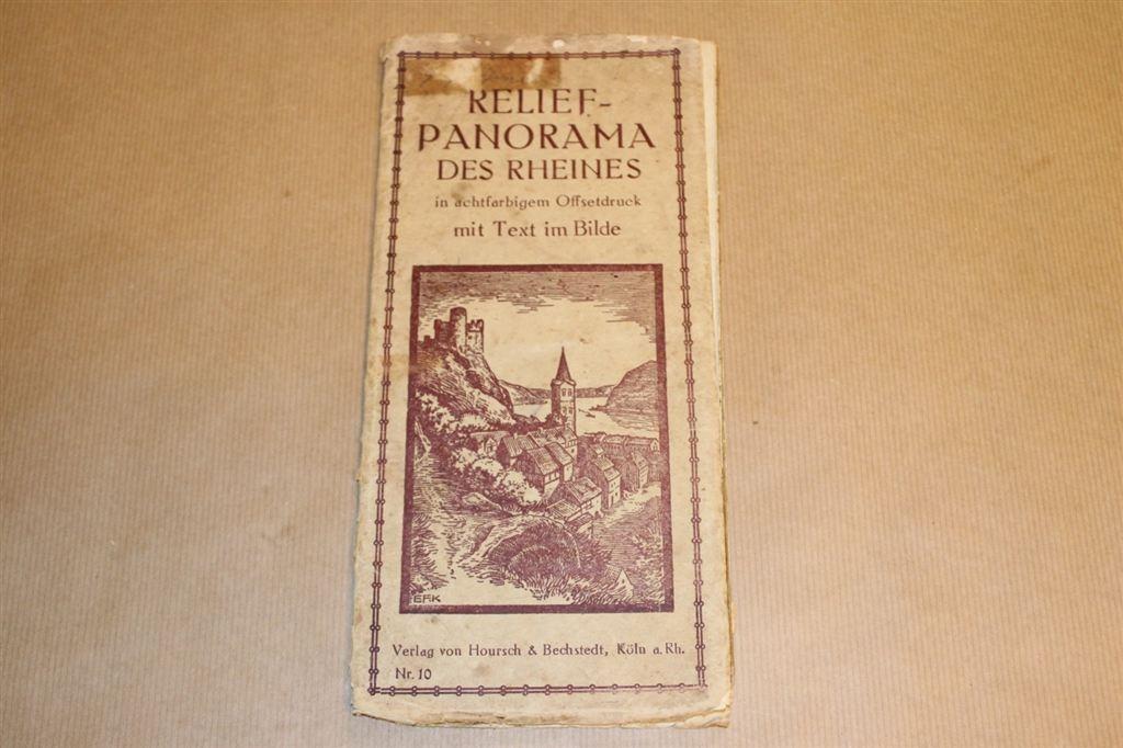 Oude reliëf/ panorama kaart van de Rijn - Circa 1920, Boeken, Gelezen, Ophalen of Verzenden, Landkaart, 1800 tot 2000