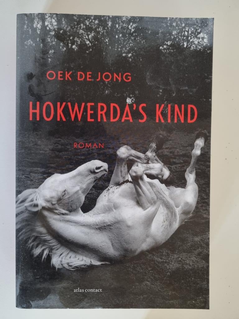 Oek de Jong - Hokwerda's kind, Boeken, Ophalen of Verzenden, Zo goed als nieuw, Oek de Jong