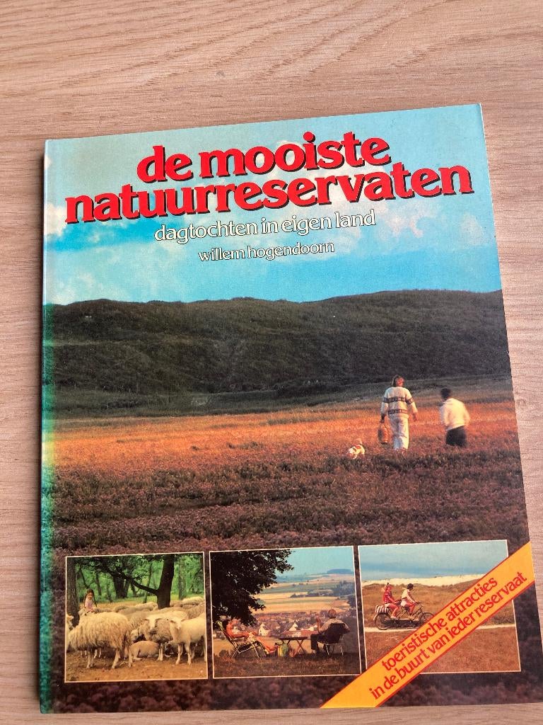 Boek Willem Hogendoorn, Ophalen of Verzenden, Gelezen
