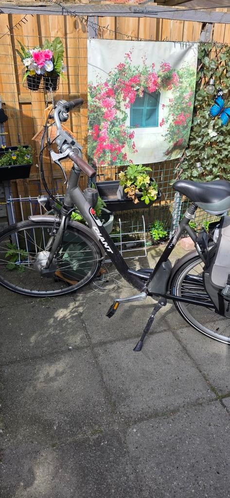 Giant Twist Go Power elektrische fiets, Fietsen en Brommers, Elektrische fietsen, Ophalen, Giant, Zo goed als nieuw, 51 tot 55 cm