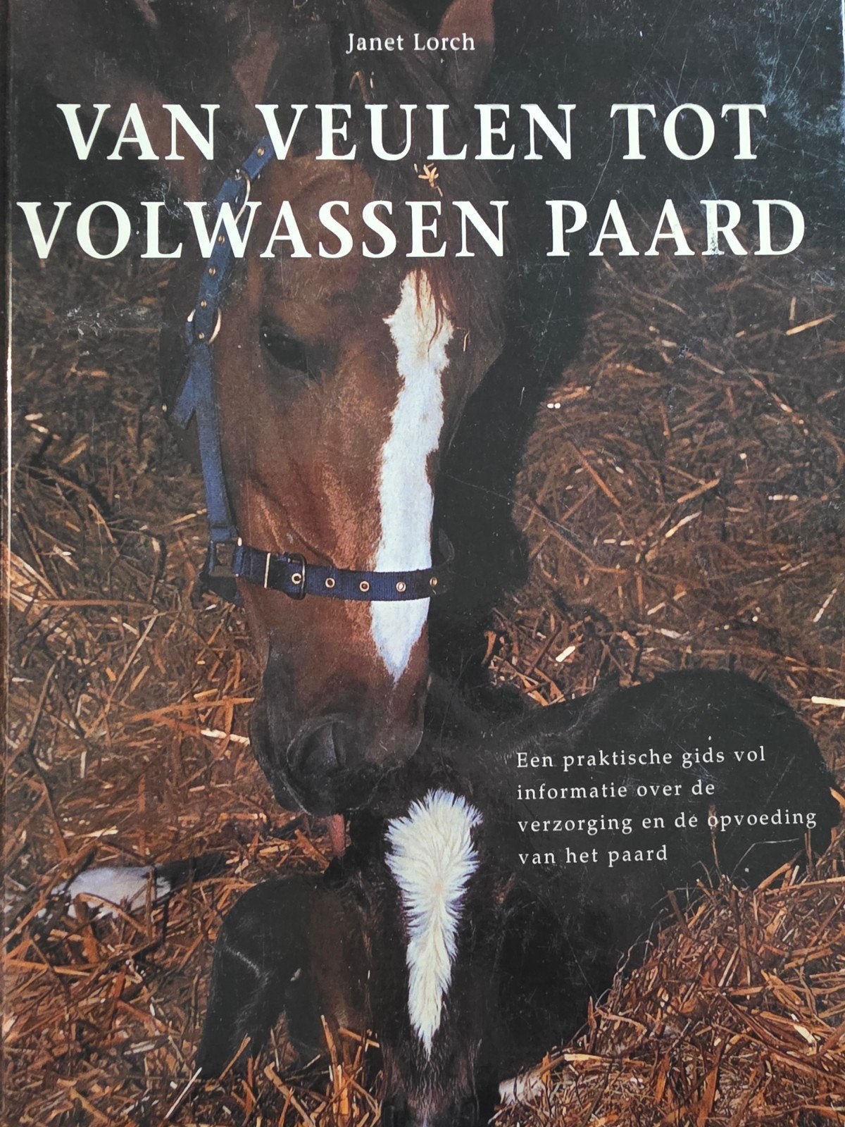 J. Lorch - Van veulen tot volwassen paard, J. Lorch, Ophalen of Verzenden, Zo goed als nieuw, Paarden of Pony's