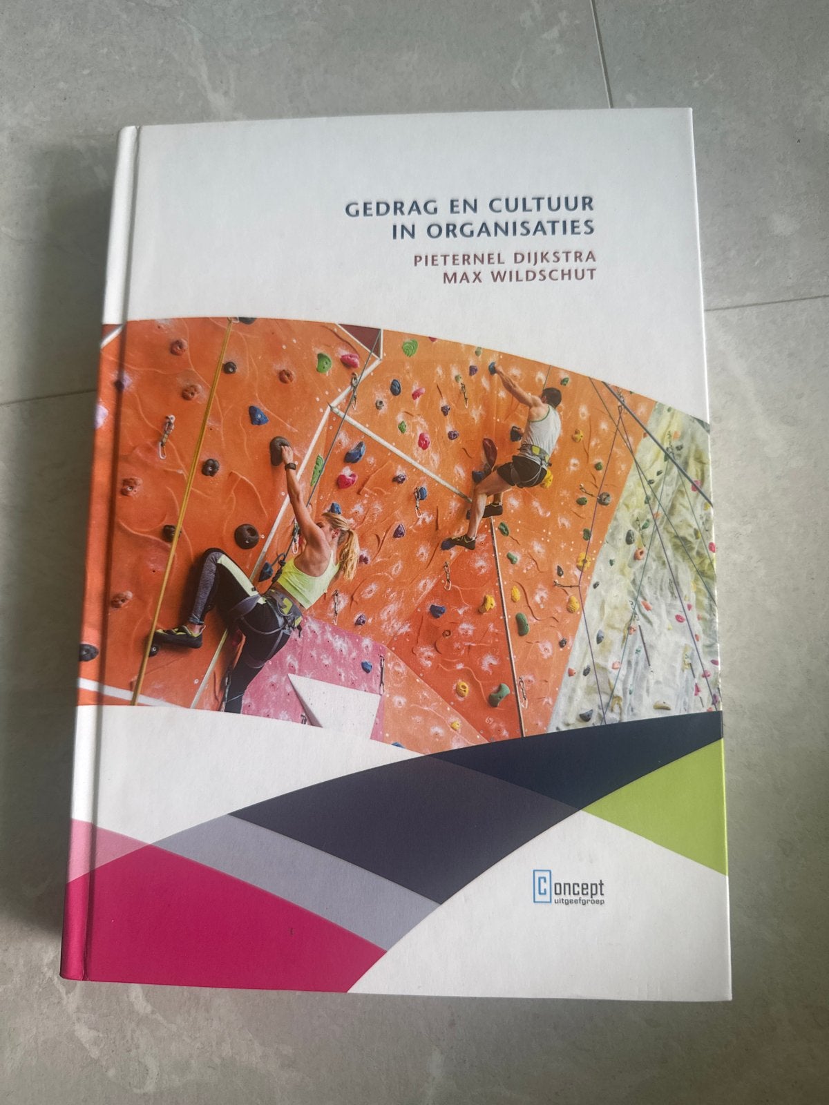 Pieternel Dijkstra - Gedrag en cultuur in organisaties, Boeken, Ophalen, Zo goed als nieuw, Pietenel Dijkstra; Max Wildschut