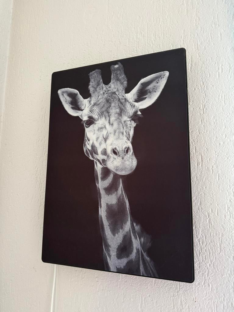 Ikea SYMFONISK Schilderij Muziek Box met 3 lijsten, Audio, Tv en Foto, Luidsprekers, Overige typen, Ophalen of Verzenden, Zo goed als nieuw