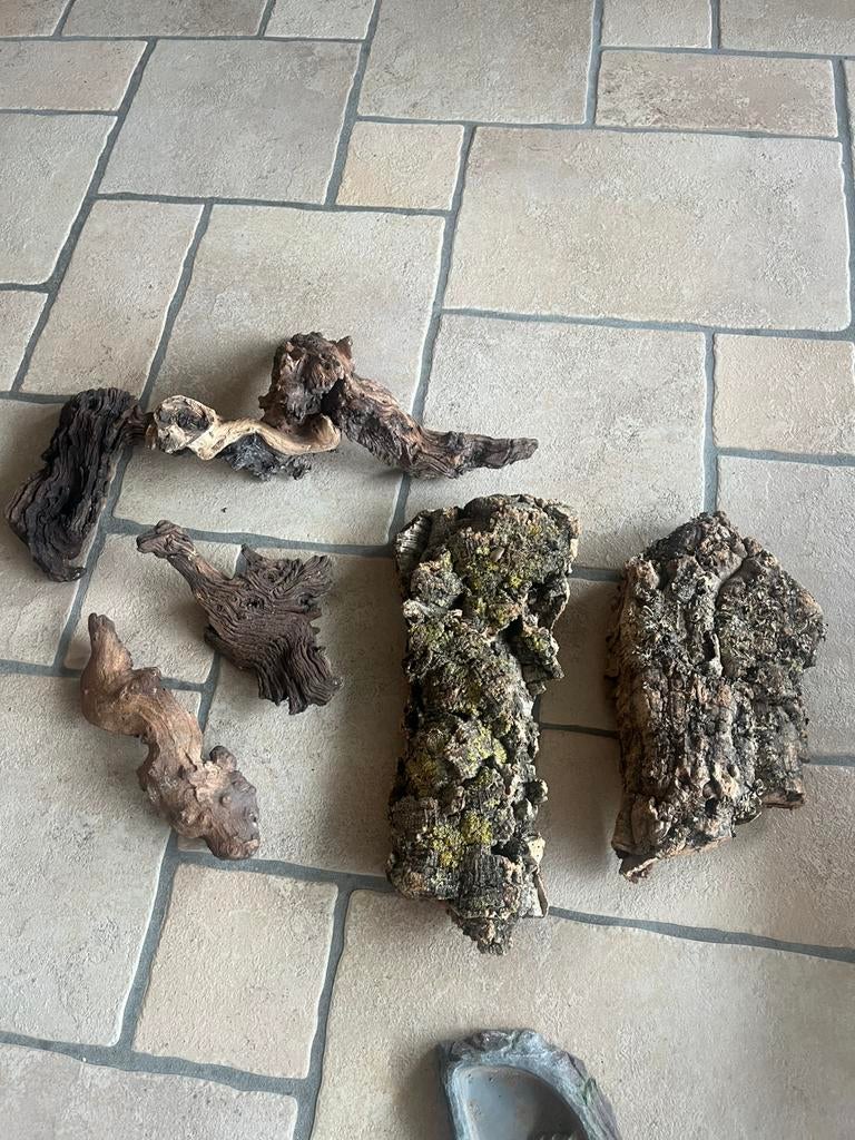Terrarium/aquarium hout en waterbakje, Ophalen of Verzenden, Gebruikt, Terrarium of Paludarium