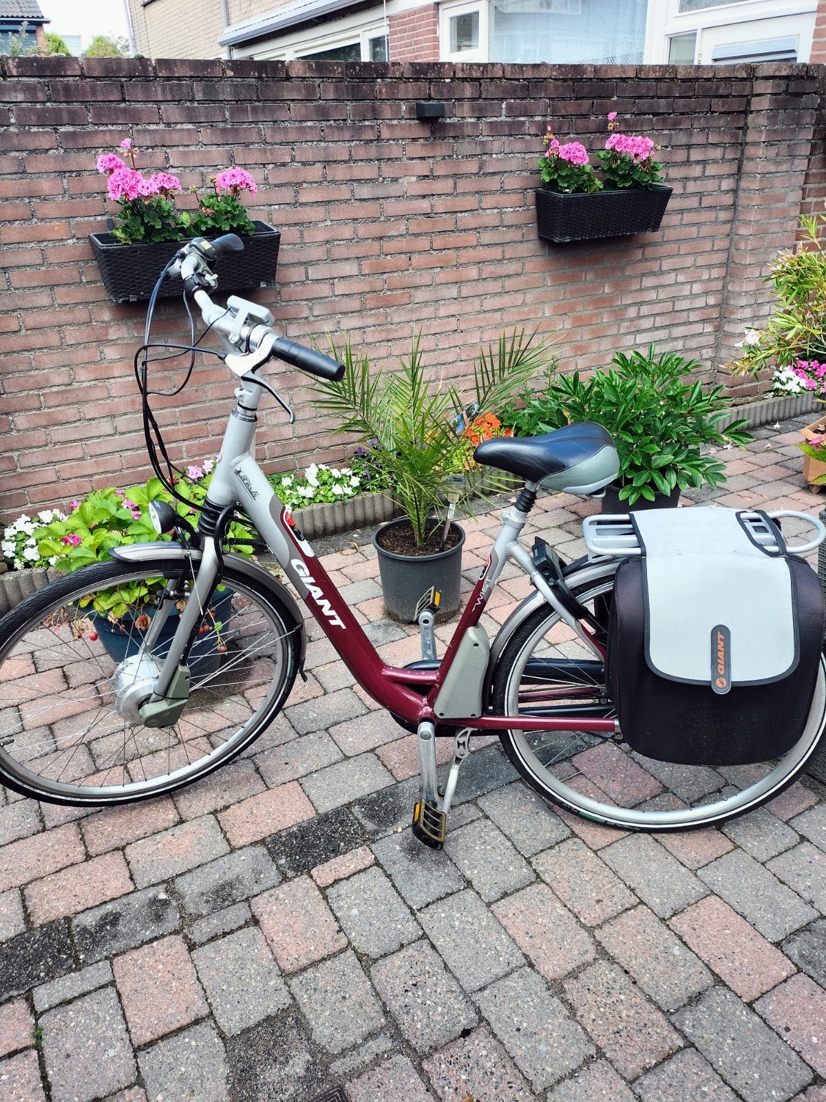 Giant Twist Comfort CS elektrische fiets, Ophalen, Gebruikt, Giant, 51 tot 55 cm