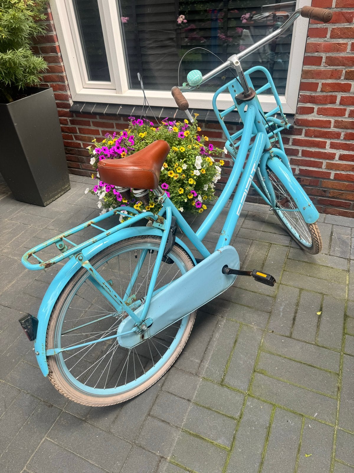 Lichtblauwe stadsfiets met voordrager en bagagedrager, Terugtraprem, Ophalen, Overige merken, 53 tot 56 cm