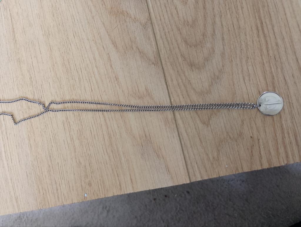 Verzilverde 1 cent 1969 hanger met ketting, Ophalen of Verzenden, Zo goed als nieuw, Zilver, Met hanger