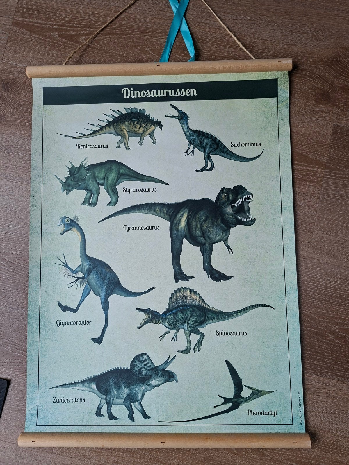 Ouderwetse schoolplaat dinosaurussen - Dubbelzijdig, Ophalen of Verzenden, Zo goed als nieuw