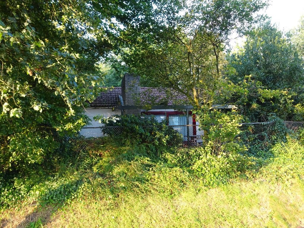 woning te huur Drenthe, midden in de natuur Oranje/Hijken, Direct bij eigenaar, Vrijstaande woning, 3 kamers, 60 m²