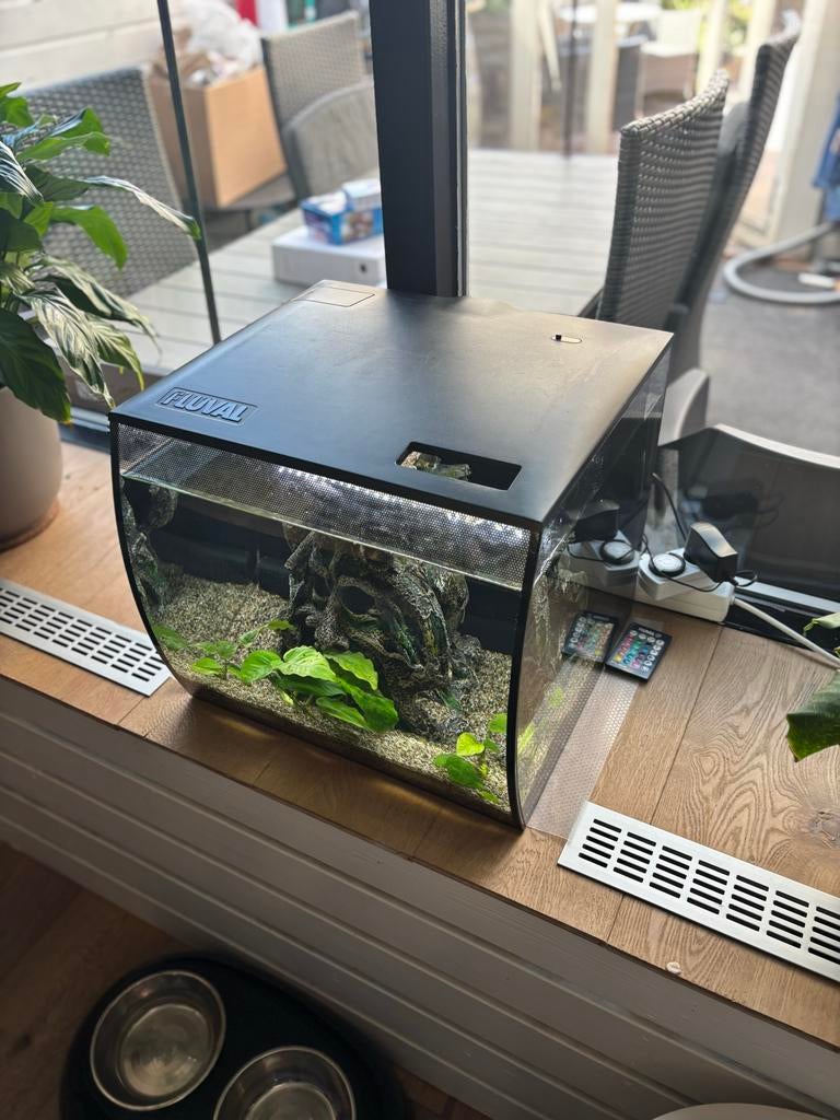 Te koop aangeboden een aquarium met toebehoren, Ophalen, Zo goed als nieuw, Gevuld zoetwateraquarium