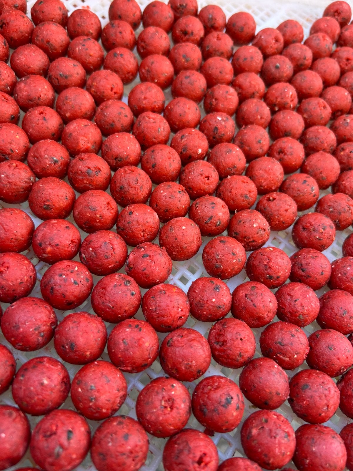 Fruit fusion boilie, Watersport en Boten, Ophalen of Verzenden, Nieuw, Overige typen