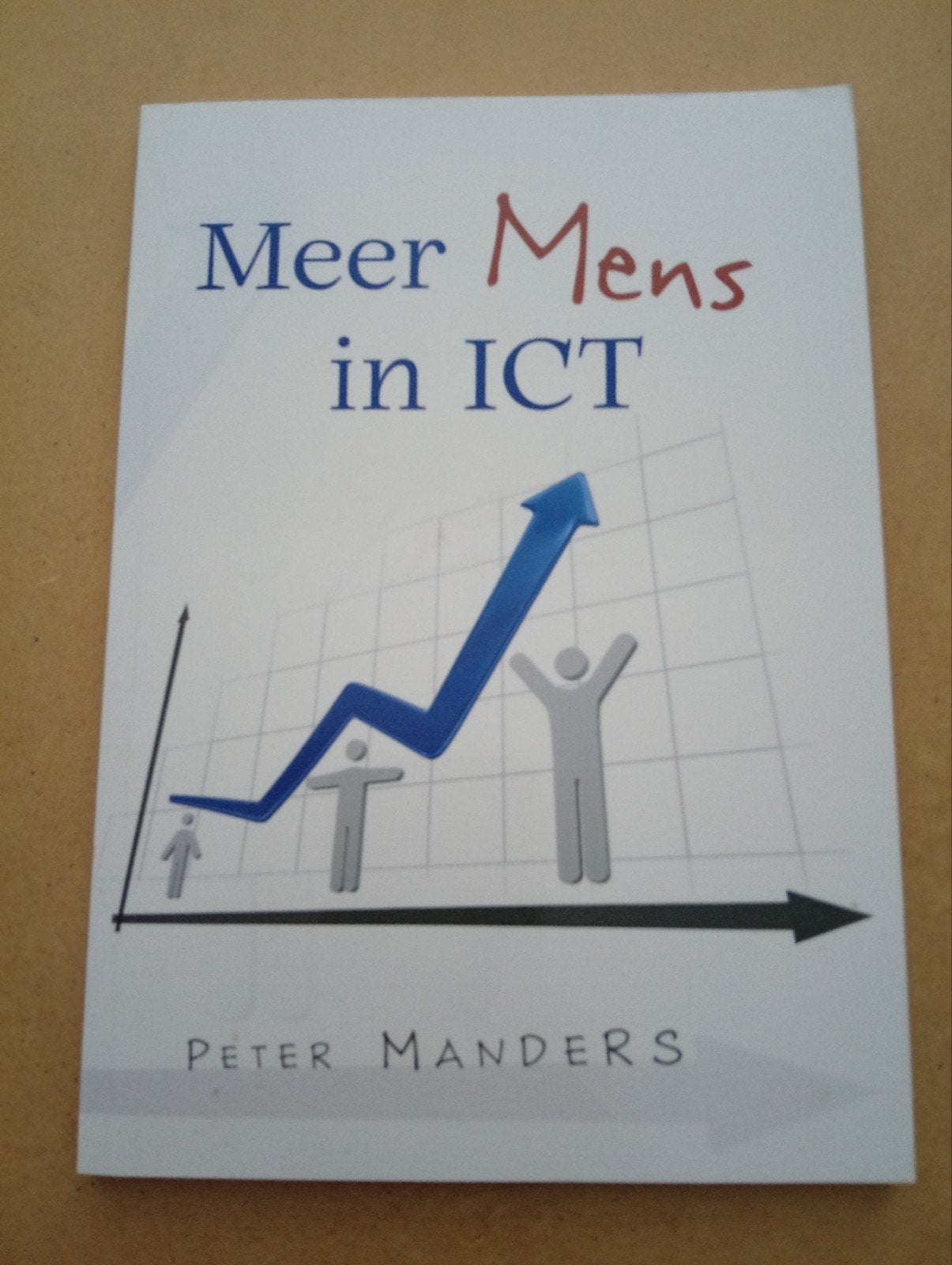 Meer Mens in ICT - Peter Manders (Zo goed als nieuw), Vakgebied of Industrie, Ophalen of Verzenden, Zo goed als nieuw, Peter Manders