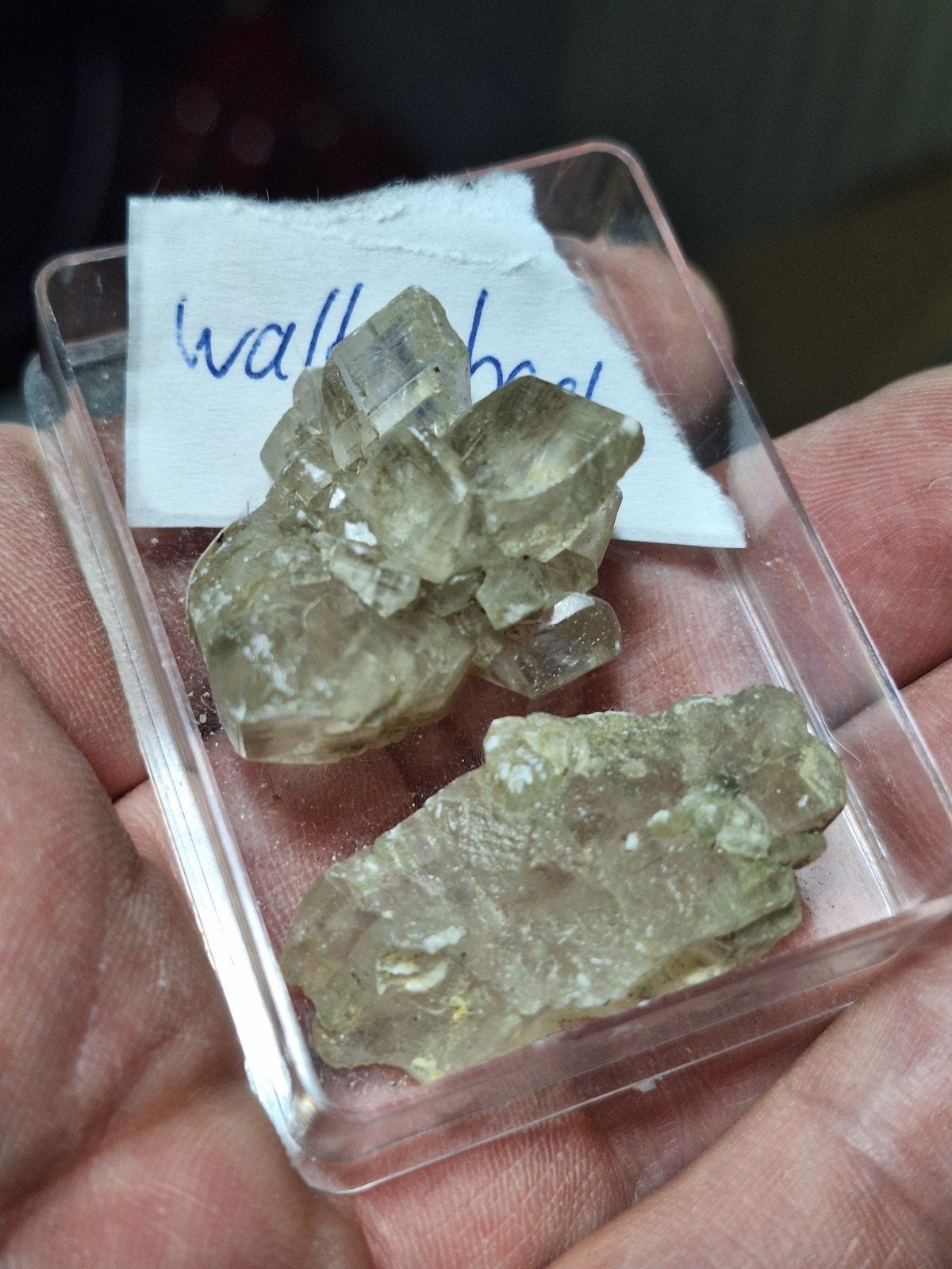 SELENIET GIOS KRISTAL, DUITSLAND 2X (UV + P), Verzamelen, Ophalen of Verzenden, Mineraal