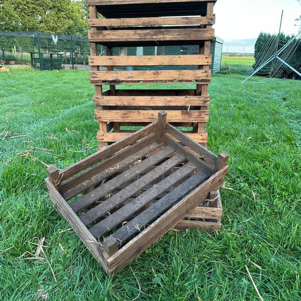 Oud Hollandse aardappelkisten. Fruitkisten, moestuin, Ophalen of Verzenden, Gebruikt