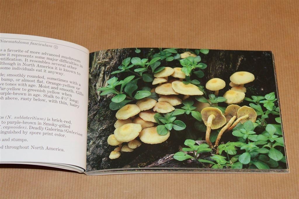 Bekende Paddestoelen [Noord-Amerika] — Audubon [ENG], Ophalen of Verzenden, Gelezen, Bloemen, Planten en Bomen