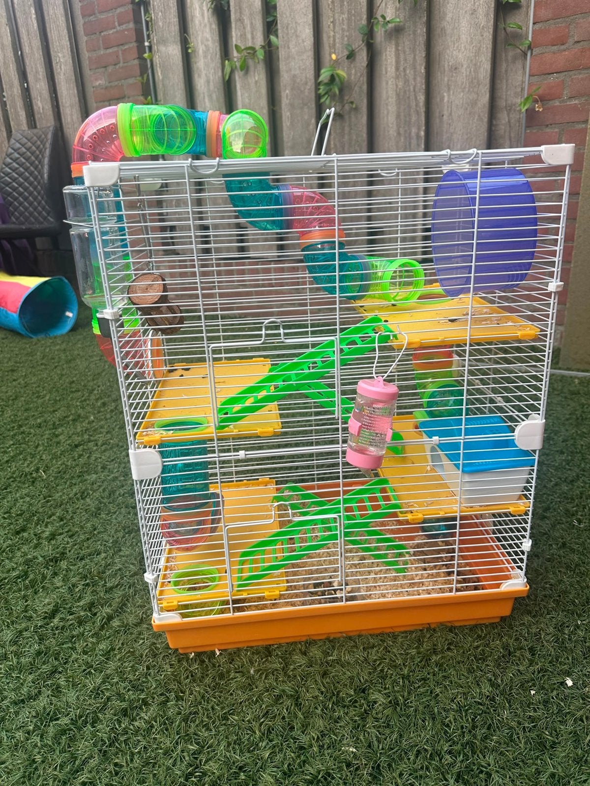 Ontzettend lieve en actieve hamster zoekt een nieuw huisje!, Dieren en Toebehoren, Knaagdieren, Hamster, April, Mannelijk, Tam
