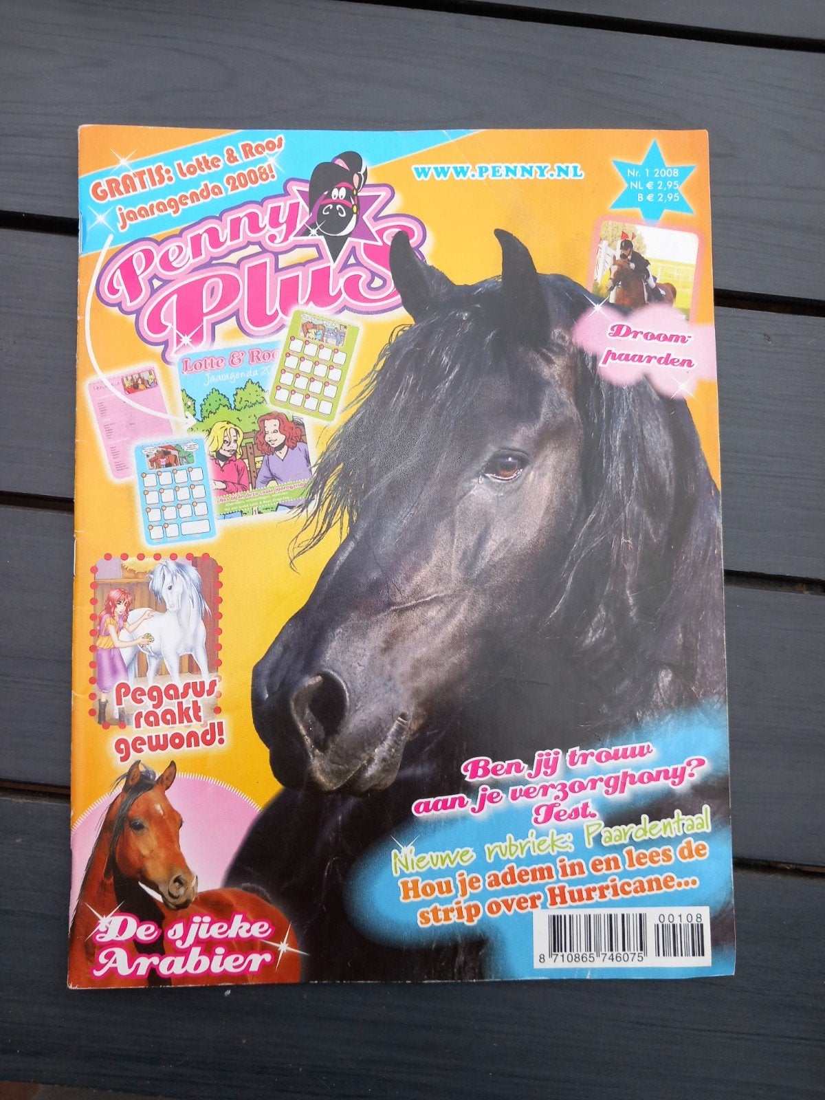 Penny Plus Tijdschrift Nr. 1 2008 - Paarden Magazine, Ophalen of Verzenden, Zo goed als nieuw, Overige typen