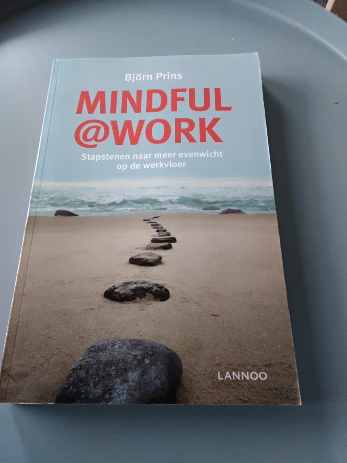 Bjorn Prins - MINDFULNESS@WORK, Boeken, Ophalen of Verzenden, Zo goed als nieuw, Bjorn Prins