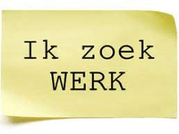 Ik zoek werk!, Vacatures, Profielen | Scholier zoekt bijbaan, 33 - 40 uur, Overige vormen