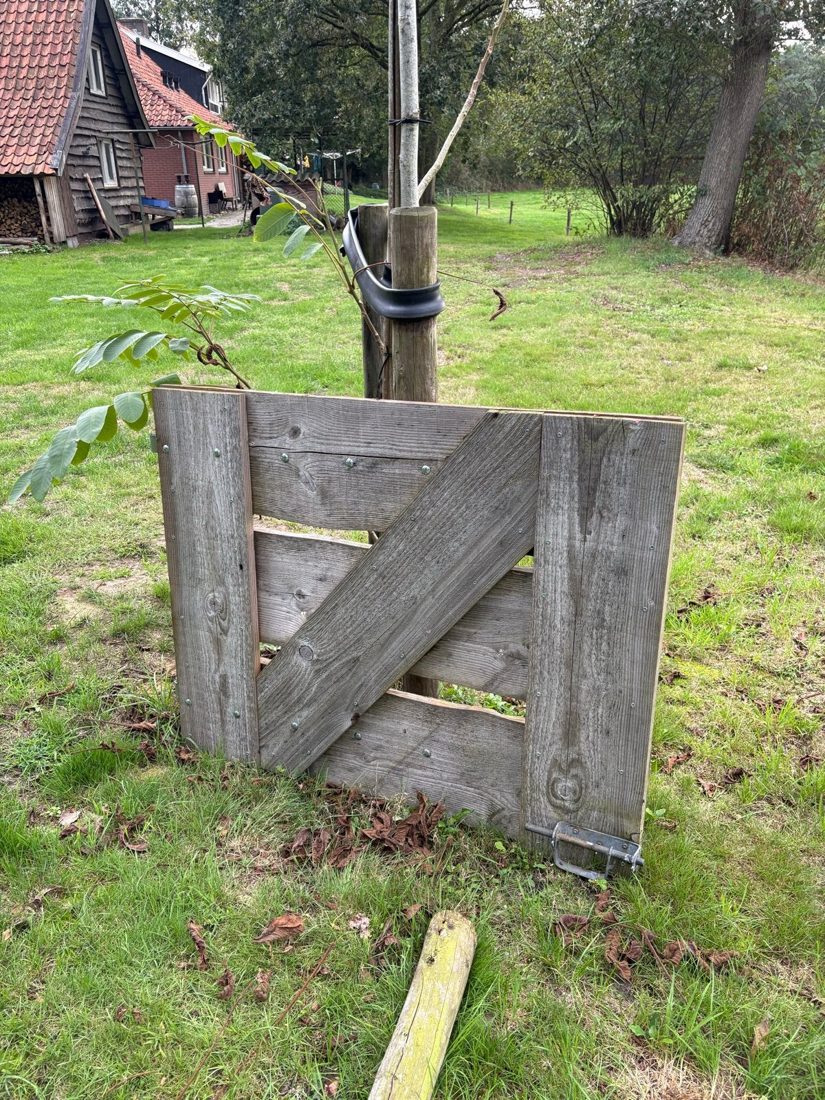 Houten Tuinhekje, Tuin en Terras, Ophalen, Met poort, Gebruikt, Tuinhek