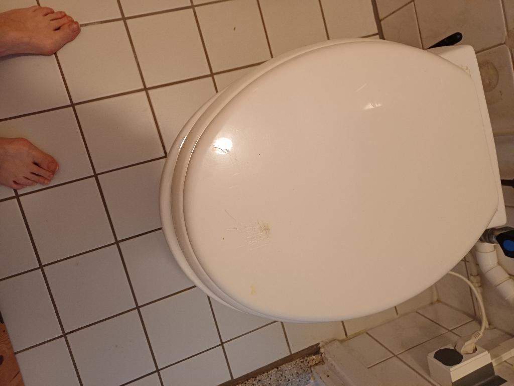broyeur toilet met ingebouwde vermaler, Doe-het-zelf en Verbouw, Sanitair, Ophalen, Gebruikt, Toilet