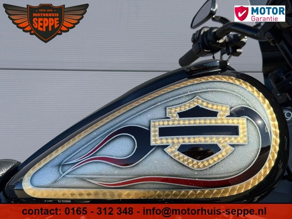 HARLEY-DAVIDSON LOW RIDER FXRS 117 CI, HARLEY-DAVIDSON, Chopper, Bedrijf, Onbekend