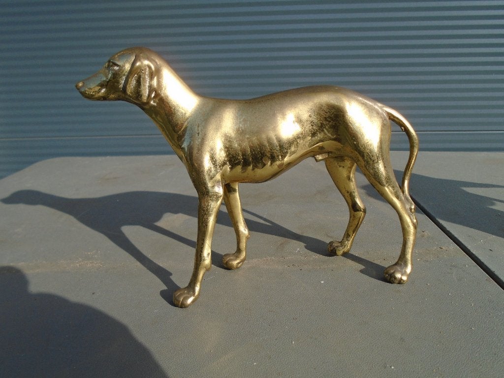 messing  windhond, Ophalen, 20 - 50 cm, Beeld, Goud