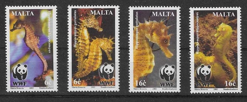 hvdhr WWF/WNF 67 zeepaardjes complete postfrisse serie 2002, Postzegels en Munten, Ophalen of Verzenden, Postfris, Dier of Natuur