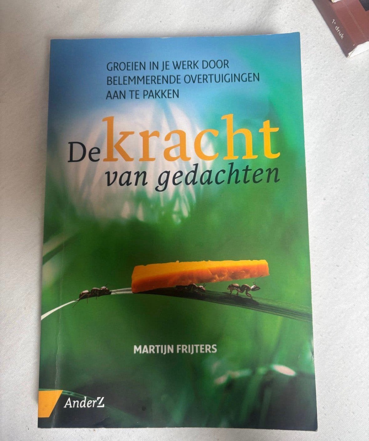 Martijn Frijters - De kracht van gedachten, Ophalen of Verzenden, Zo goed als nieuw, Martijn Frijters