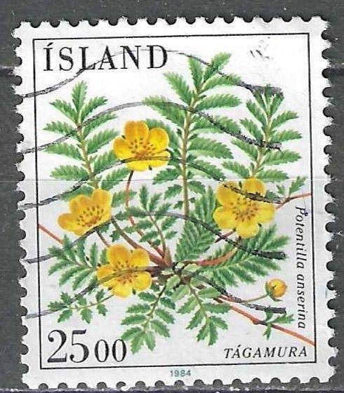 Ijsland 1984 - Yvert 566 - Zilverschoon 25 k. (ST), Verzenden, IJsland, Gestempeld