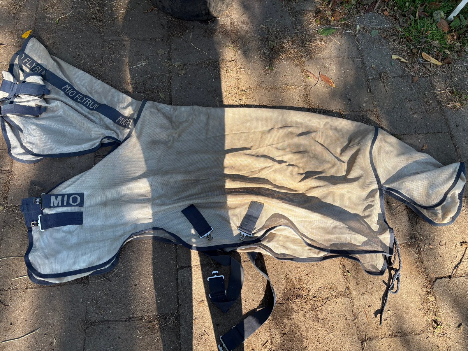 Amigo mio pony maat 4.6, Dieren en Toebehoren, Ophalen of Verzenden, Zo goed als nieuw