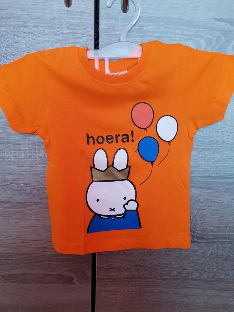 Nijntje baby shirt nieuw maat 62-68, Ophalen, Nieuw, Jongetje of Meisje, Shirtje of Longsleeve