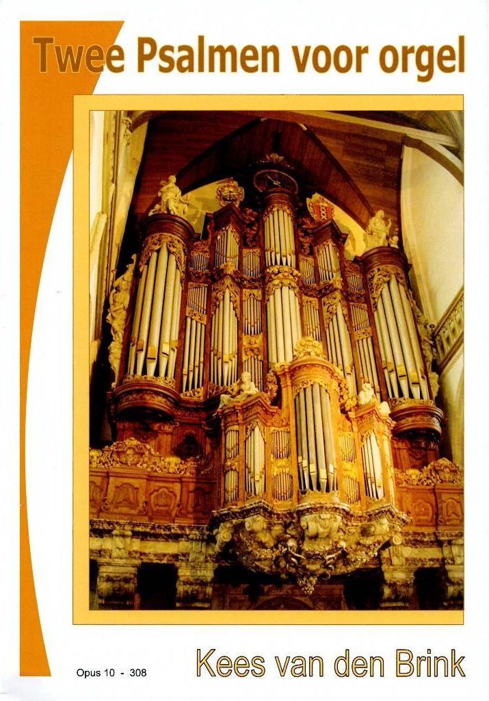 Kees van den Brink - Psalmen voor orgel, Orgel, Nieuw, Ophalen of Verzenden, Religie en Gospel