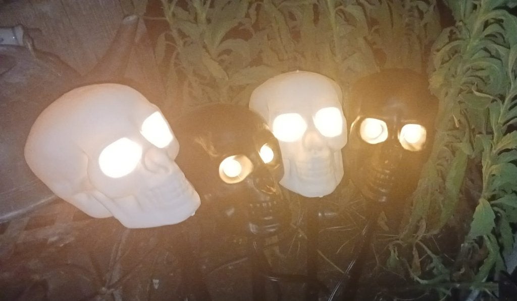 Skull heads met LED verlichting - tuinstekers, Ophalen of Verzenden, Nieuw, Feestartikel, Halloween of Griezel