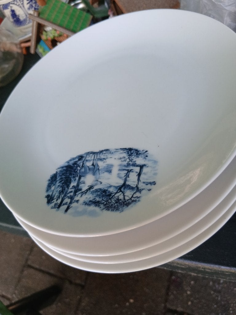 Selfsman weiden bavaria  servies, Antiek en Kunst, Antiek | Servies los, Ophalen of Verzenden