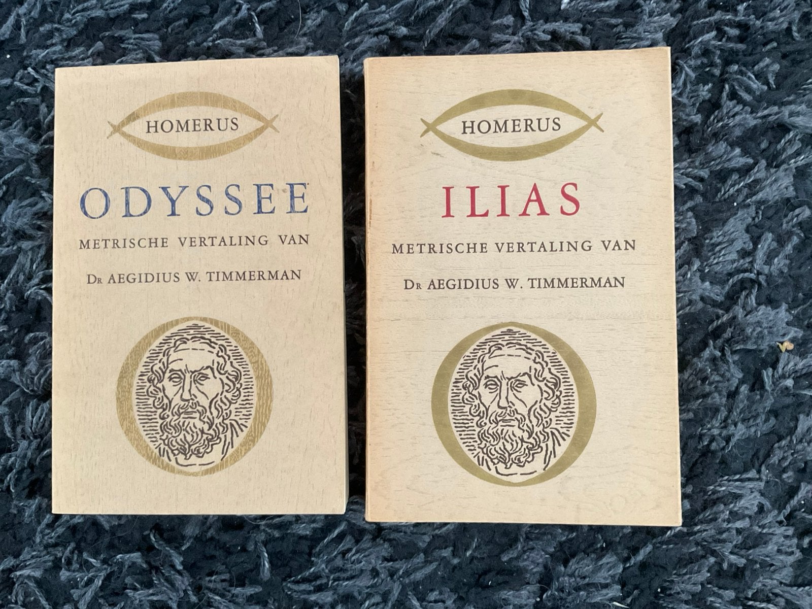 Homerus Ilias en Odyssee metrische vertaling Dr. Timmerman, Ophalen of Verzenden, Zo goed als nieuw