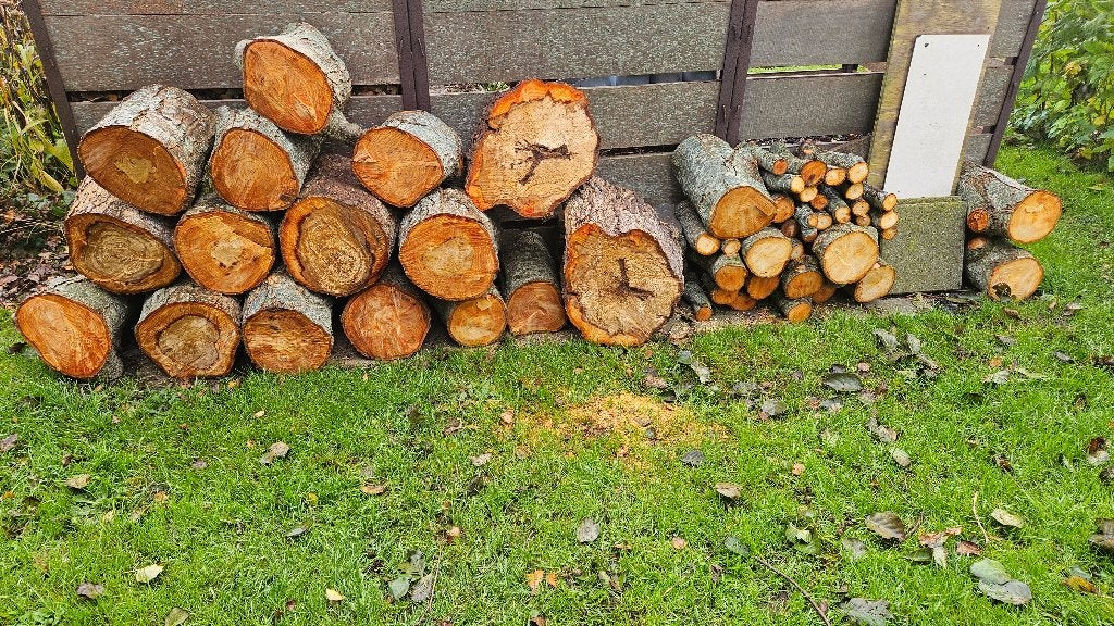 haardhout, Minder dan 3 m³, Ophalen, Elzenhout, Stammen