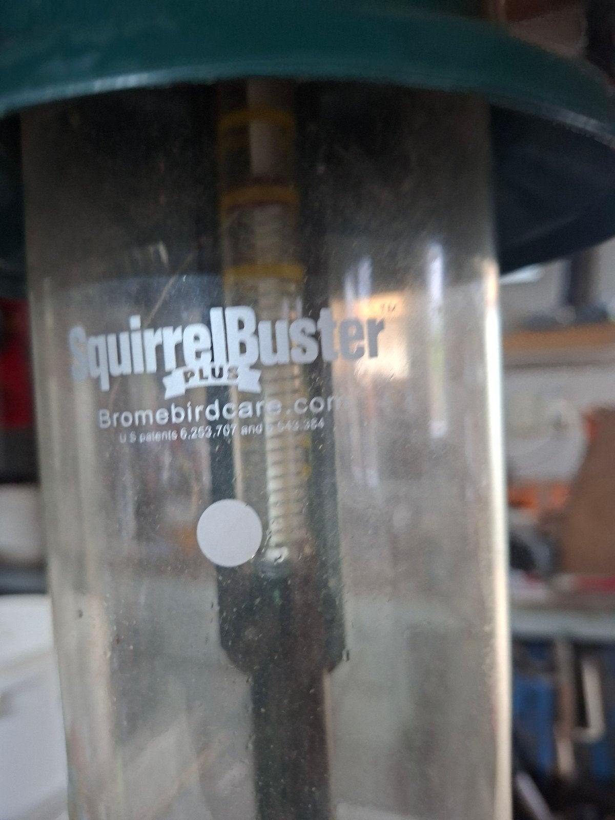 SquirrelBuster Plus Vogelvoederhuisje - Eekhoornbestendig, Ophalen, Gebruikt