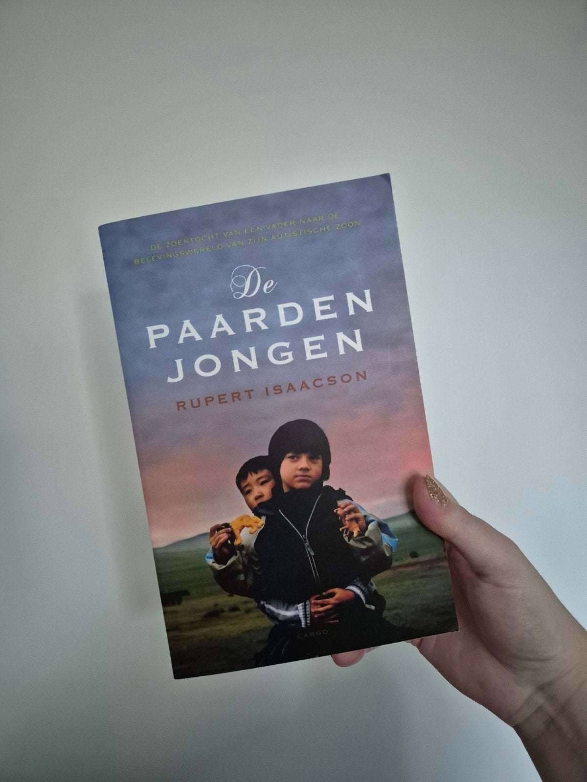 Rupert Isaacson - de paarden jongen boek, Ophalen of Verzenden
