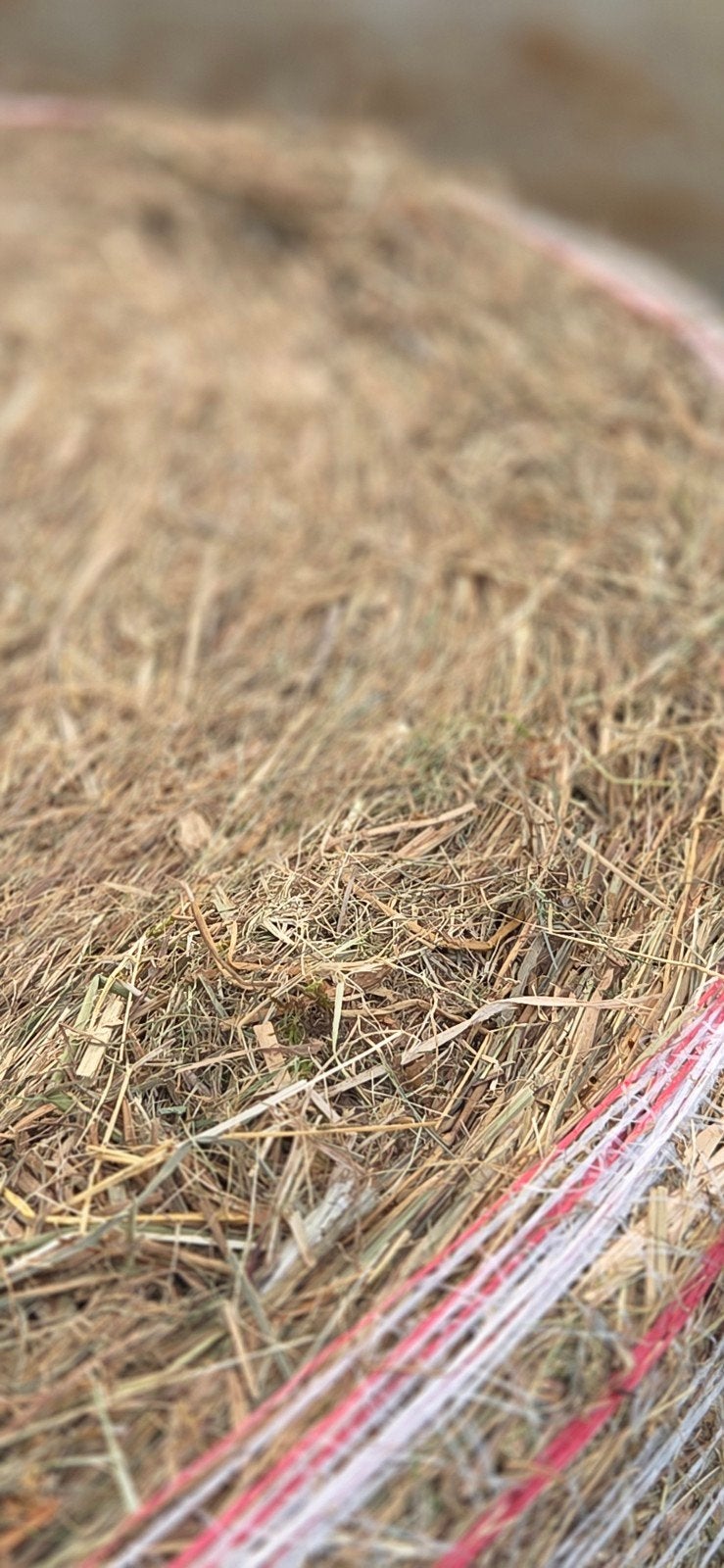Natuurstro 1.40 balen - Ideaal voor strooisel, Zakelijke goederen, Agrarisch | Veevoer, Ophalen