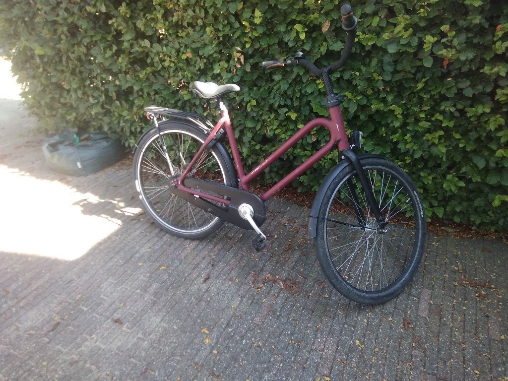 batavus fiets, Ophalen, Terugtraprem, Batavus, 53 tot 56 cm
